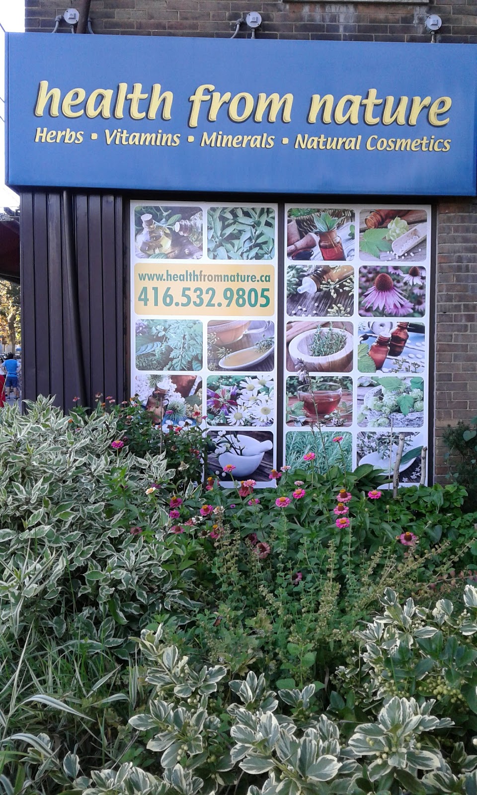 Health From Nature Inc | 47 Roncesvalles Ave, Toronto, ON M6R 2K5, Canada | Phone: (416) 532-9805