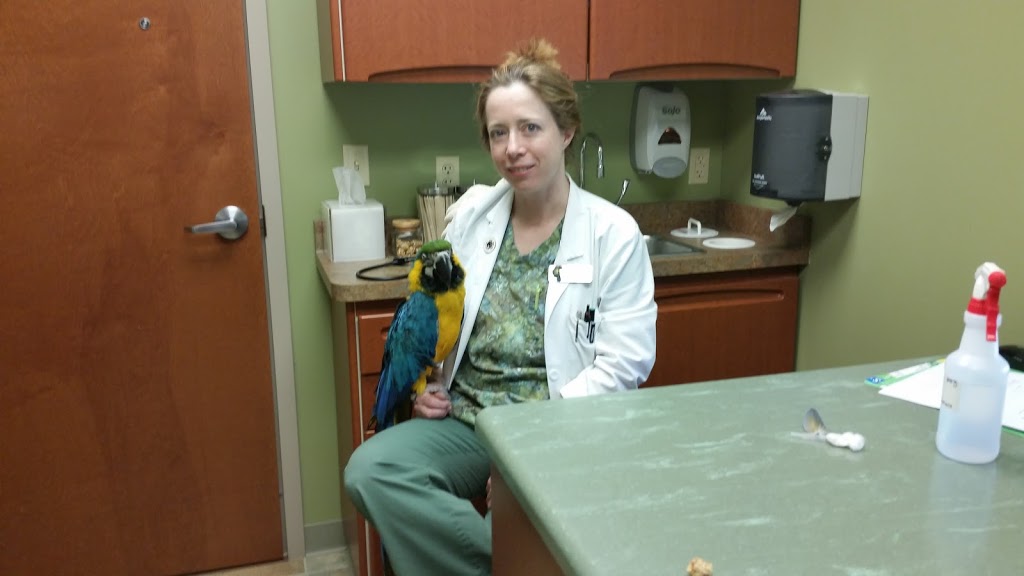 Specialized Care-Avian & Exotic Pets | 10882 Main St, Clarence, NY 14031, USA | Phone: (716) 759-0144