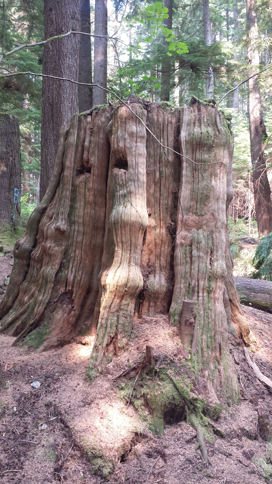 Buntzen Lake Wardens Office | 5000 Sunnyside Rd, Anmore, BC V3H, Canada | Phone: (604) 469-9679