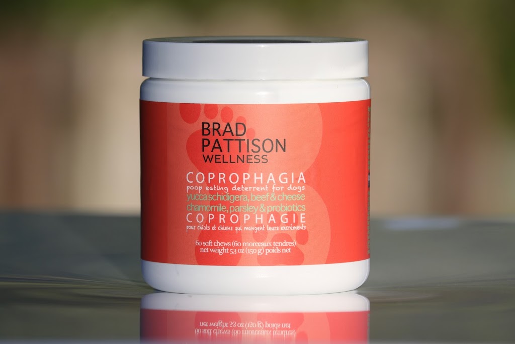 Brad Pattison Pet Wellness | 12160 103 A Ave, Surrey, BC V3V 3G8, Canada | Phone: (250) 317-9889