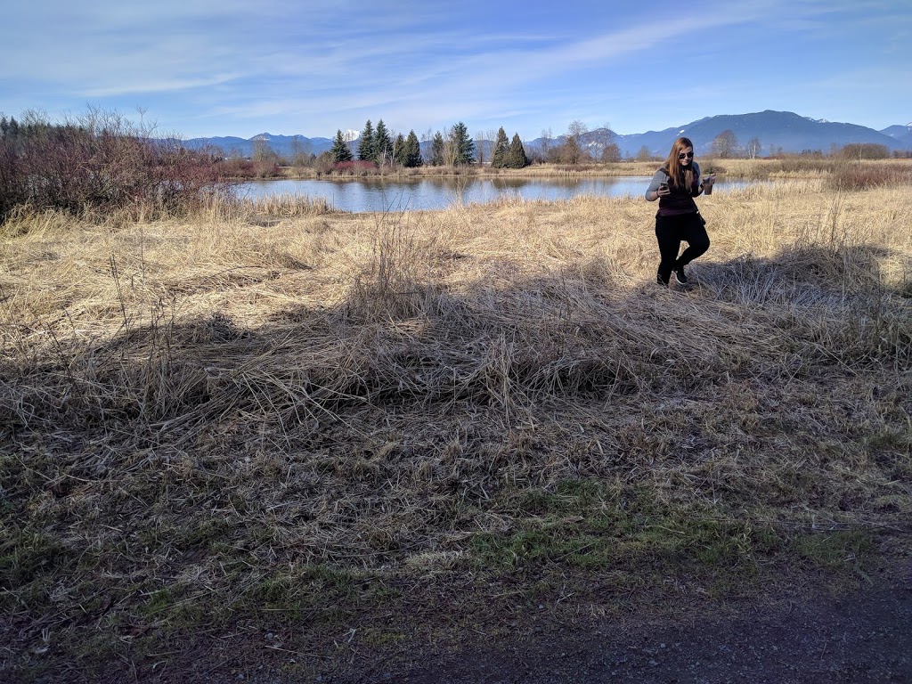Bird Sanctuary | 34350 Bateman Rd, Abbotsford, BC V2S 7Y8, Canada | Phone: (778) 344-3105