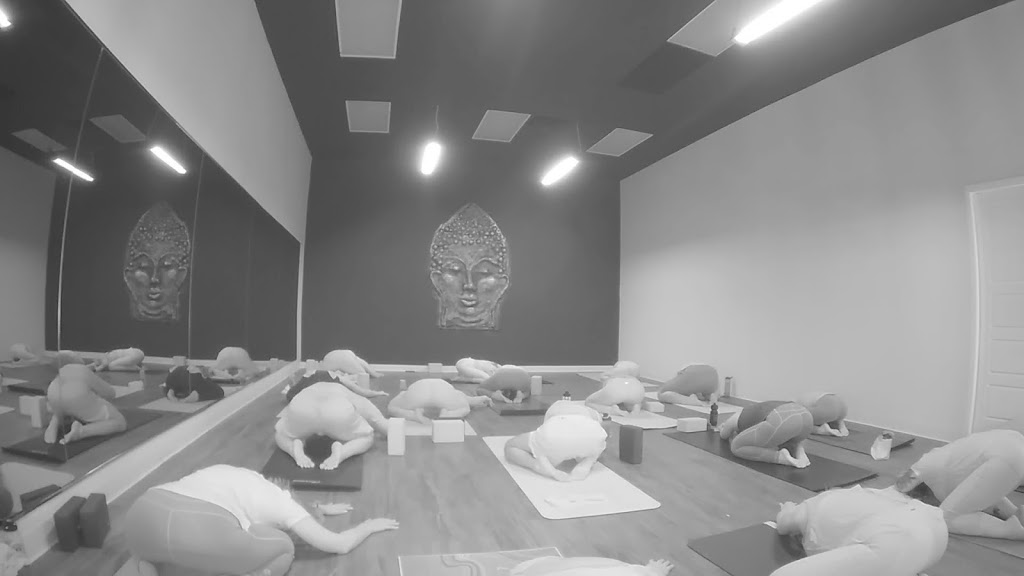 Studio Yoga Tribe | 425 de la, Boulevard la Vérendrye E, Gatineau, QC J8R 2W8, Canada | Phone: (819) 893-3119
