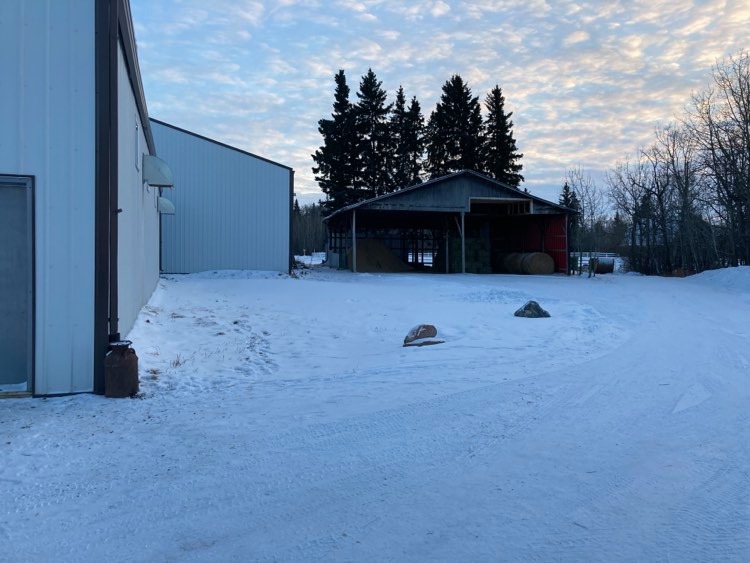 Amethyst Equine Connections | 51341 Range Rd 210, Sherwood Park, AB T8G 1G1, Canada | Phone: (780) 686-3423