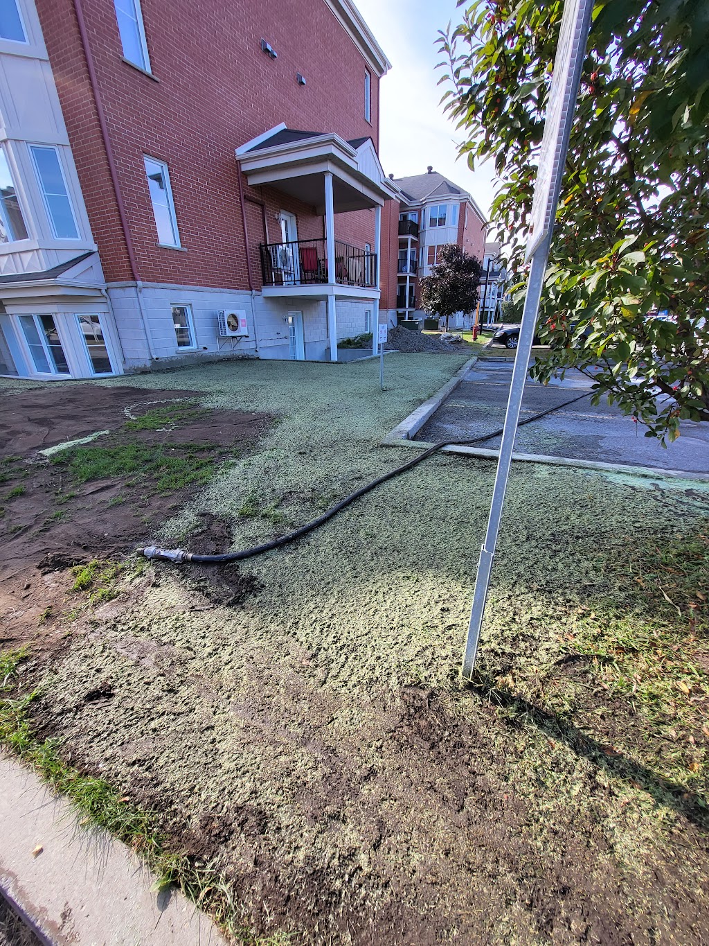 Hydrosemence Ecogazon | 531 Rue des Cèdres, Sainte-Anne-des-Plaines, QC J0N 1H0, Canada | Phone: (514) 973-1706