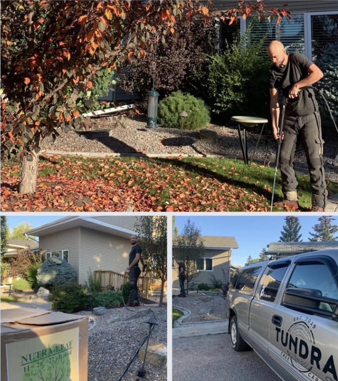 Tundra Tree Care | 1055 72 Ave NW, Calgary, AB T2K 5S4, Canada | Phone: (587) 888-6656