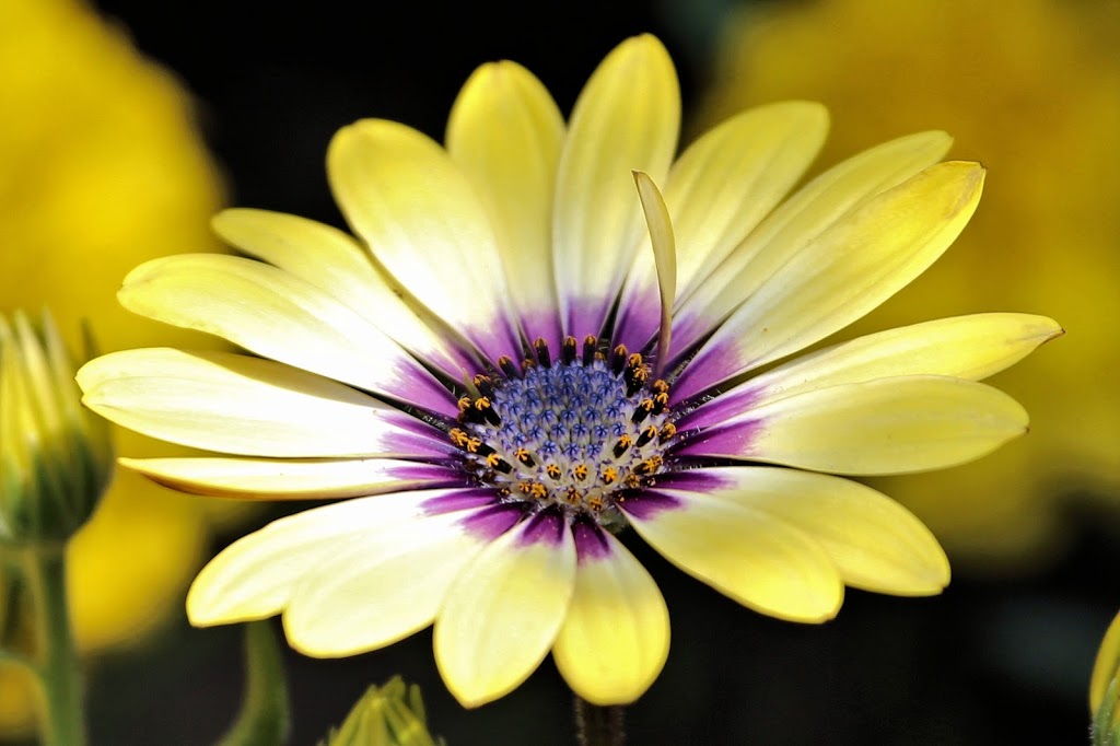 Taste Of Life Photography | 54 Cherokee Lane, RR#5, Goderich, ON N7A 3Y2, Canada | Phone: (226) 421-2064