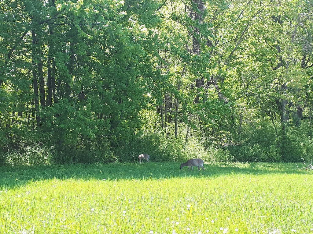 Parc Marengère | Rue Cousineau, Gatineau, QC J8T 3T4, Canada | Phone: (866) 299-2002