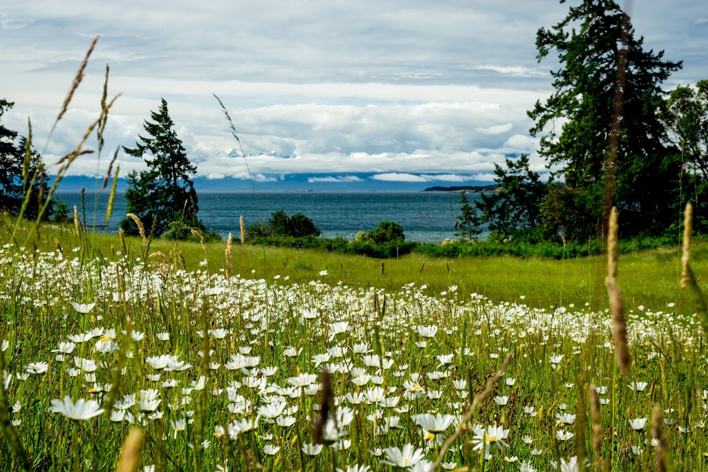 Tower Point | 48°2300. 123°3023., 2"W BC-1A, Victoria, BC V9A 1L8, Canada