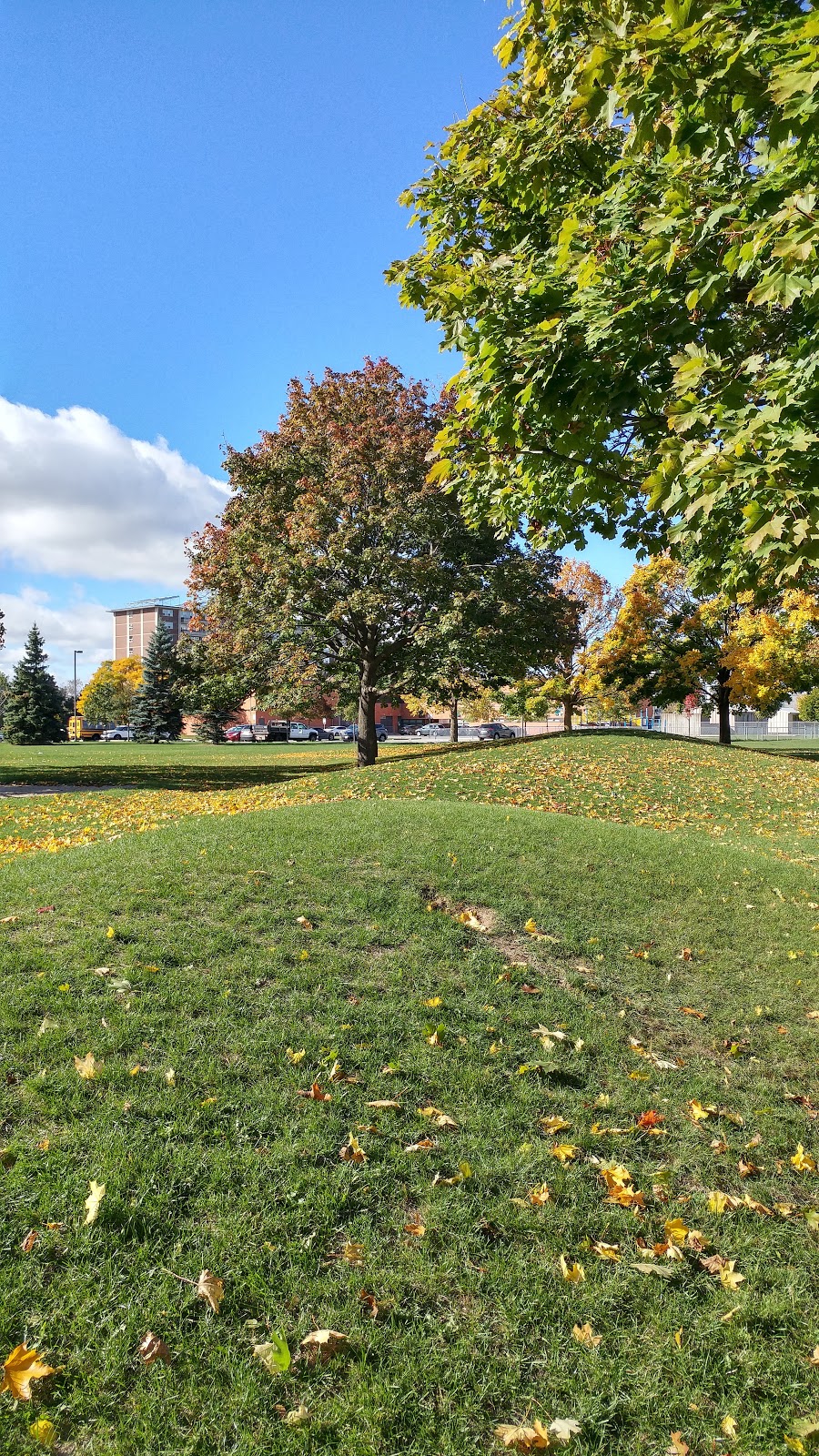 Parkway Forest Park | 80 Parkway Forest Dr, Toronto, ON M2J, Canada | Phone: (416) 338-4386