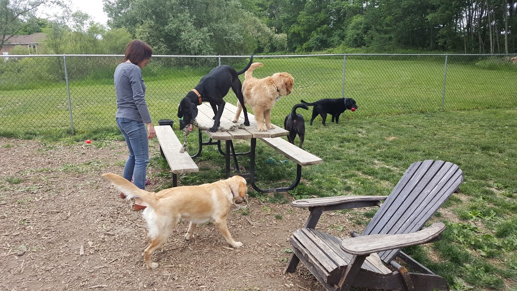 Wagtime Kennels | 1183 Beitz Rd, Breslau, ON N0B 1M0, Canada | Phone: (519) 496-8195