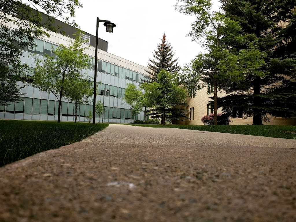 Bissett School of Business | 4825 Mt Royal Cir SW, Calgary, AB T3E 6K6, Canada | Phone: (403) 440-6833