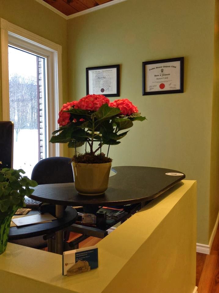 Bonniespring Family Chiropractic | 243 Peterborough County Rd 21, Millbrook, ON L0A 1G0, Canada | Phone: (705) 772-6998