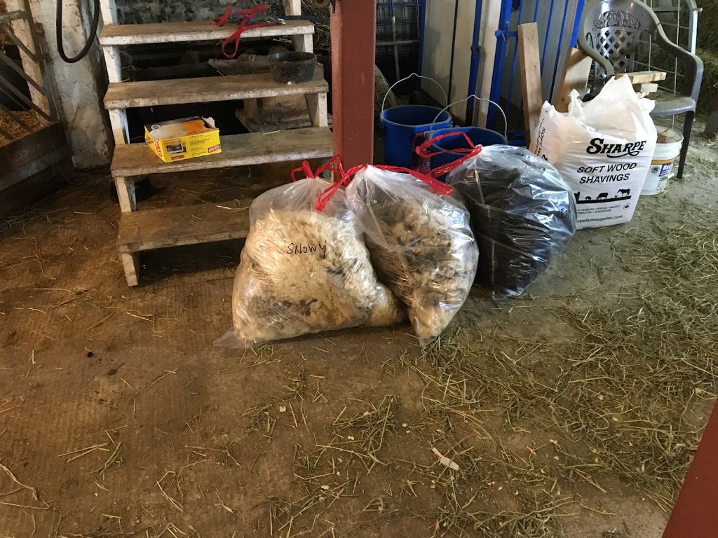 Valensbrae Sheep Farm | 1527 97, Puslinch, ON N0B 2J0, Canada | Phone: (905) 659-7253