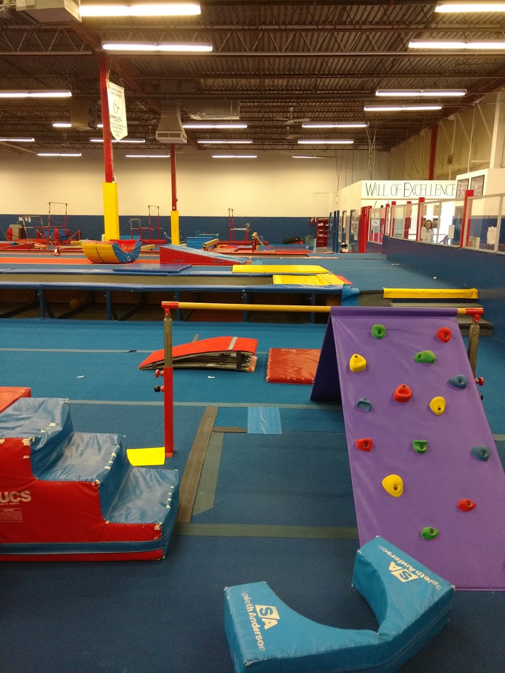 Toronto Gymnastics International - 77 Browns Line Road Units B&C ...