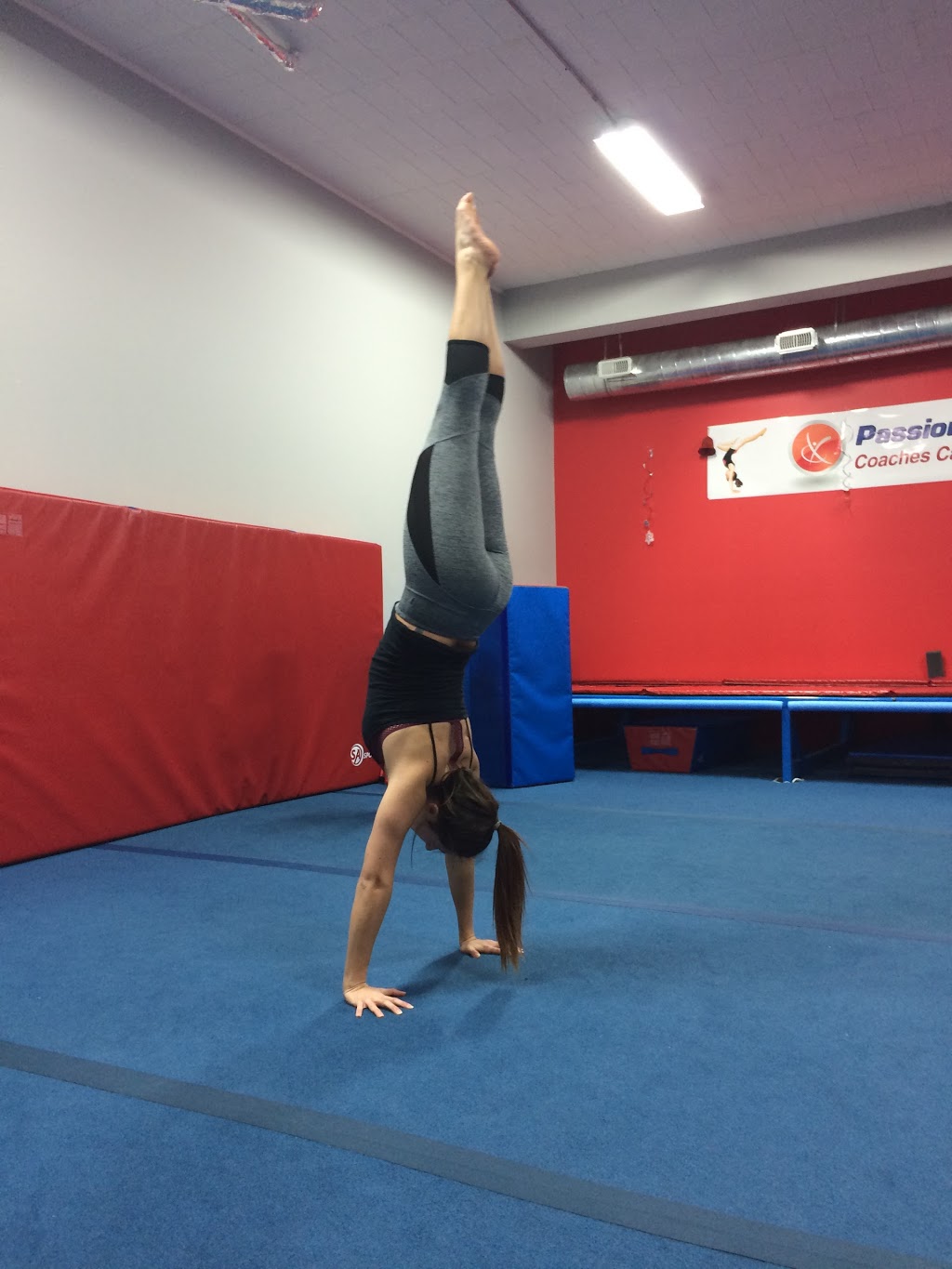 Passion To Fitness | 600 Upper Wellington St, Hamilton, ON L9A 3P9, Canada | Phone: (905) 741-1992