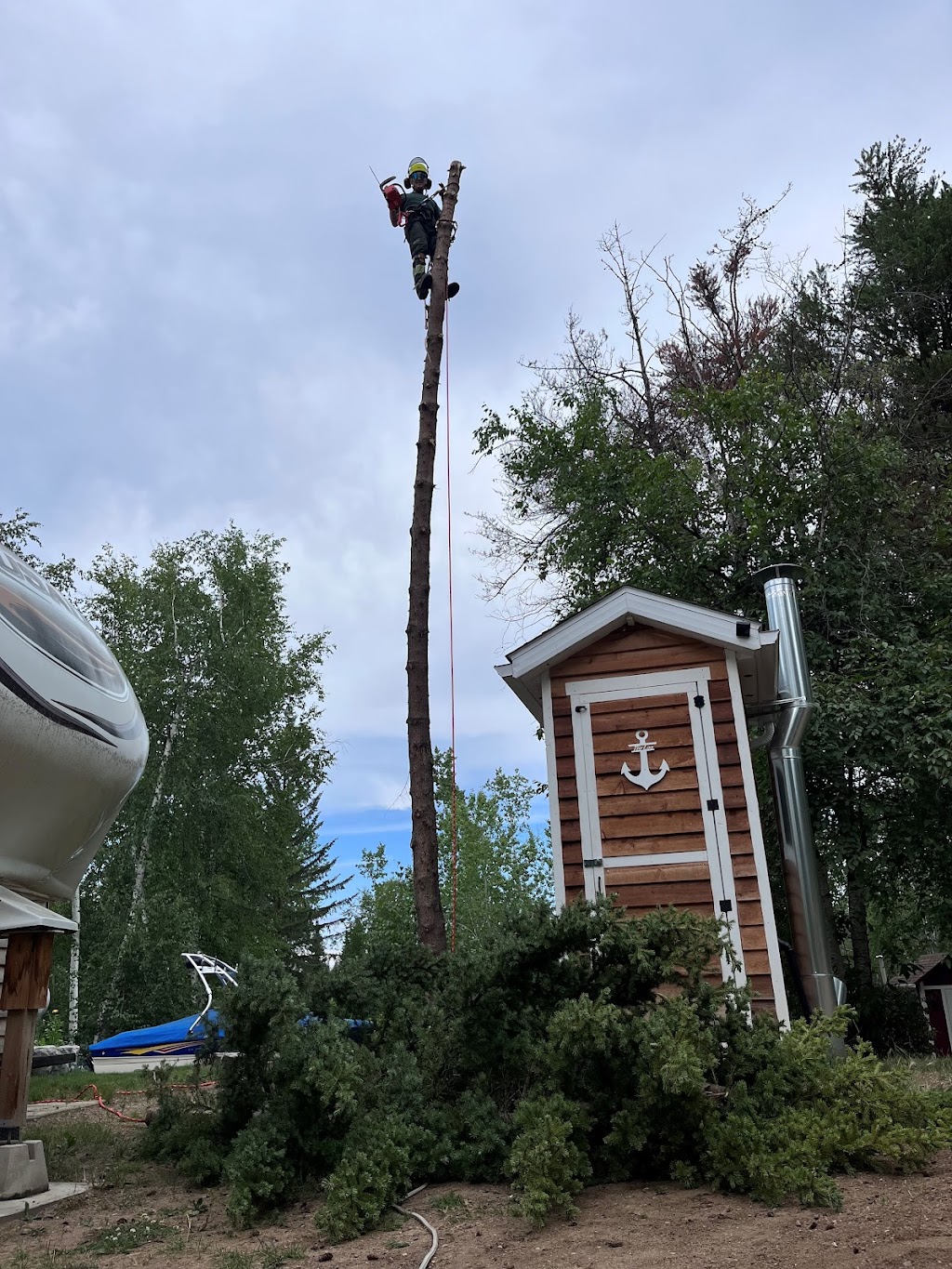Nordic Tree Care | 13 Ken Richie Way, Canmore, AB T1W 2T5, Canada | Phone: (250) 462-6551