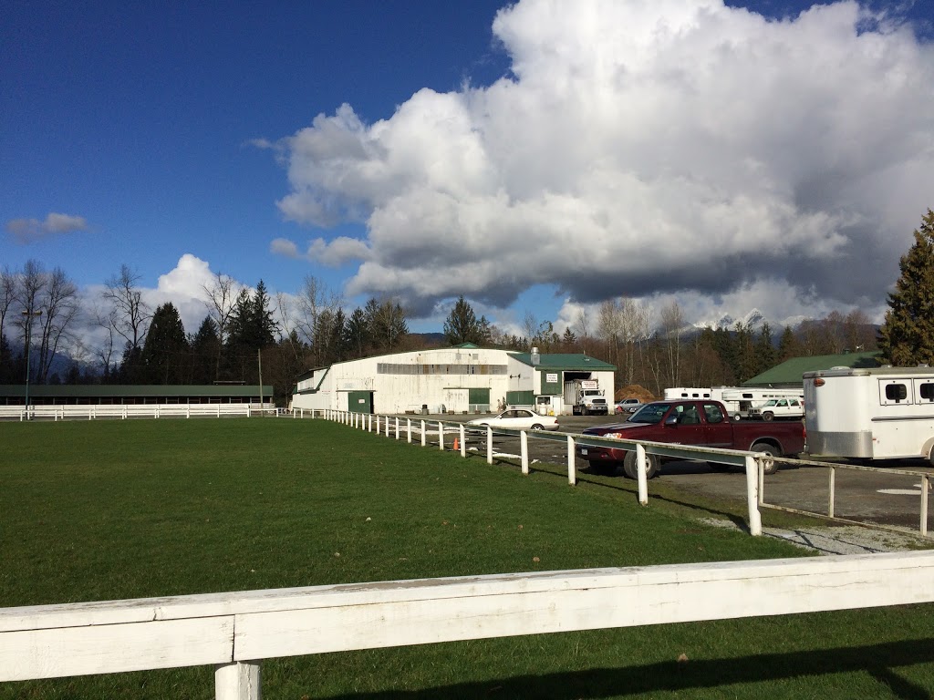 Maple Ridge Equi Sports Center | 21973 132 Ave, Maple Ridge, BC V4R 0A7, Canada | Phone: (604) 467-5616