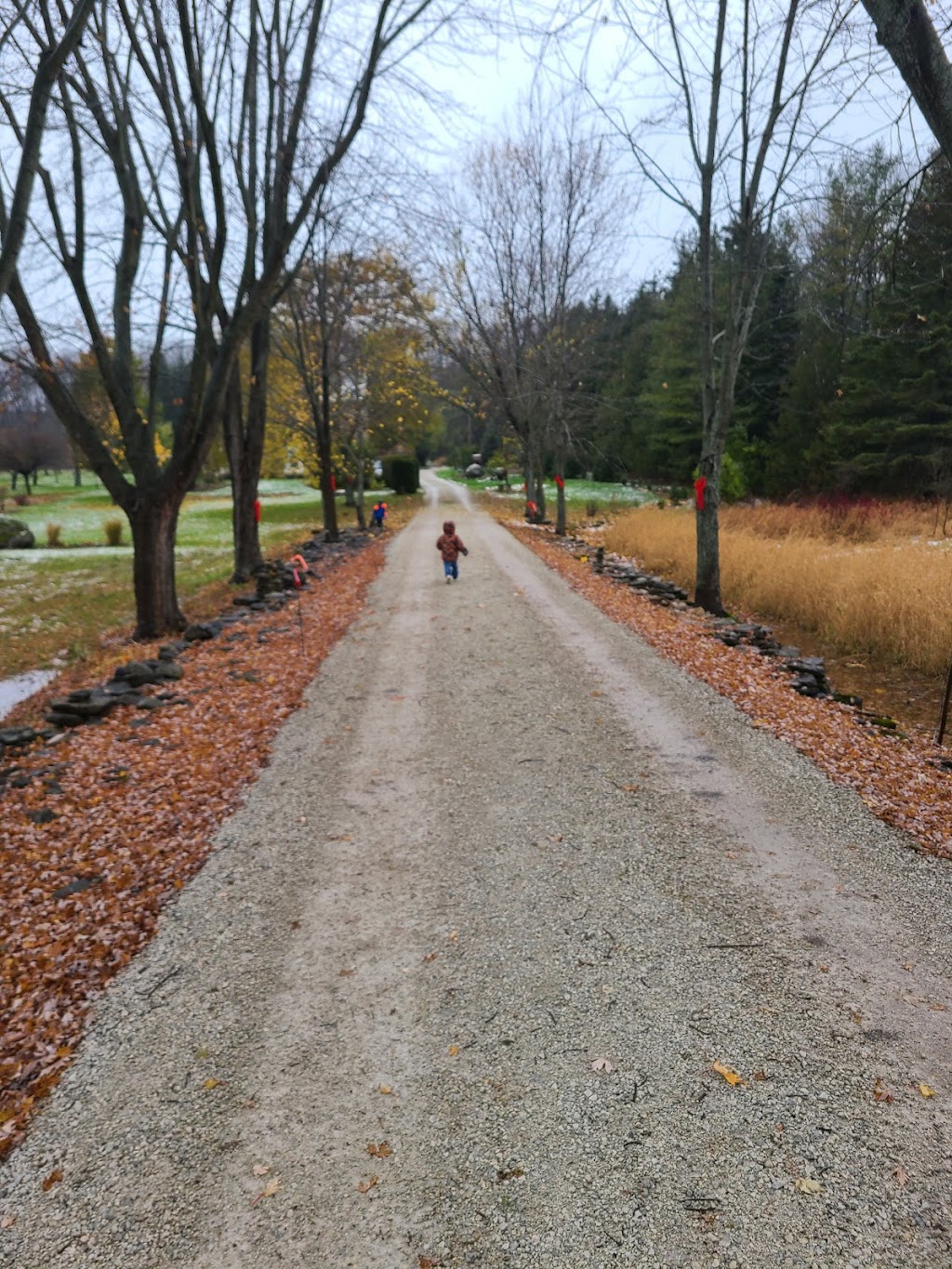 Mainland Christmas Tree Farm | 278846 Orchard Dr, Owen Sound, ON N4K 0G3, Canada | Phone: (519) 376-8888