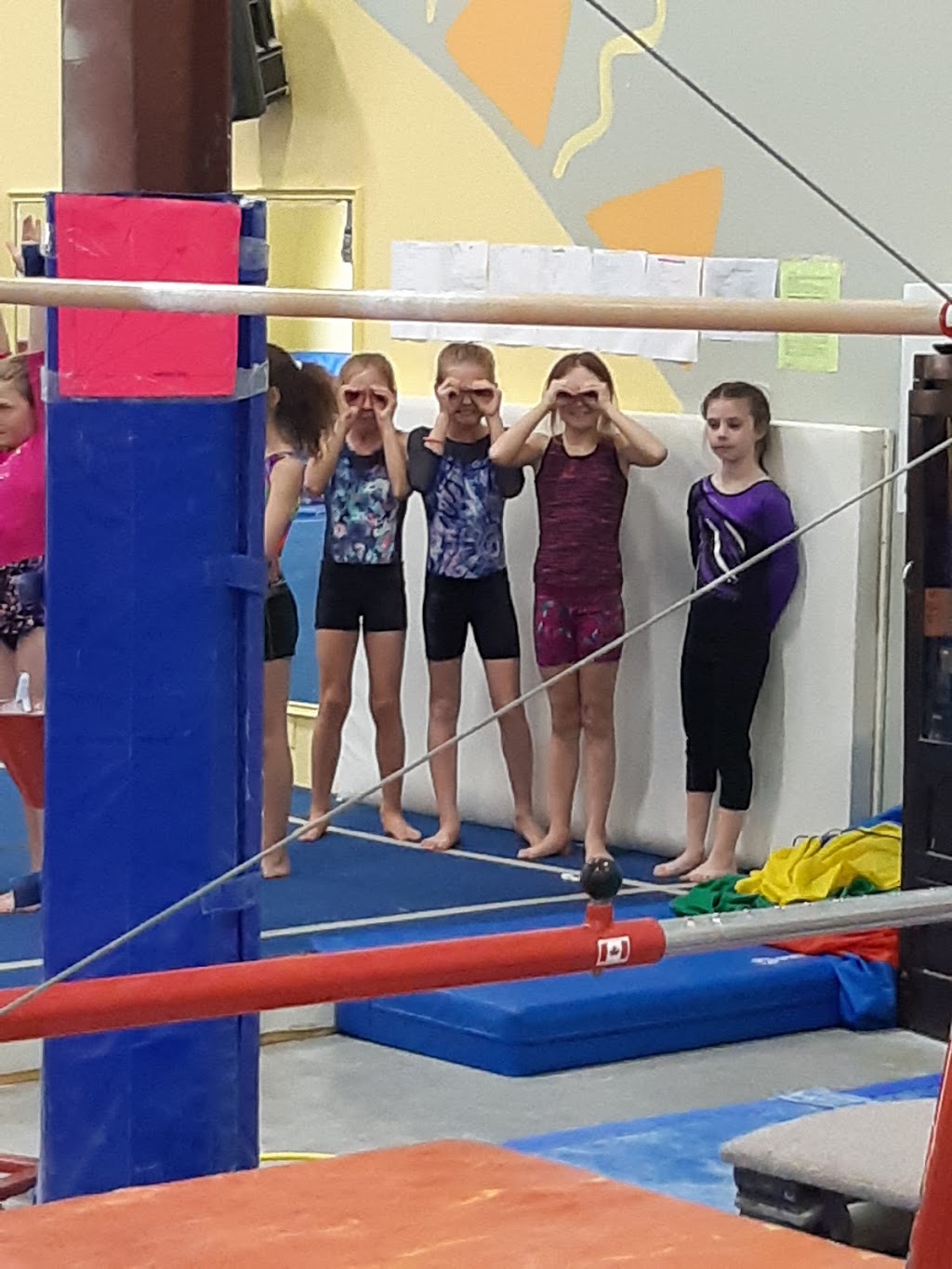 Mariposa Gymnastics Club | 655 Harvie Settlement Rd, Orillia, ON L3V 0Y7, Canada | Phone: (705) 325-3754