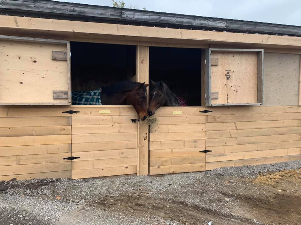Out of The Blue Stables | 280 Mud Lake Rd N, Odessa, ON K0H 2H0, Canada | Phone: (613) 876-4324