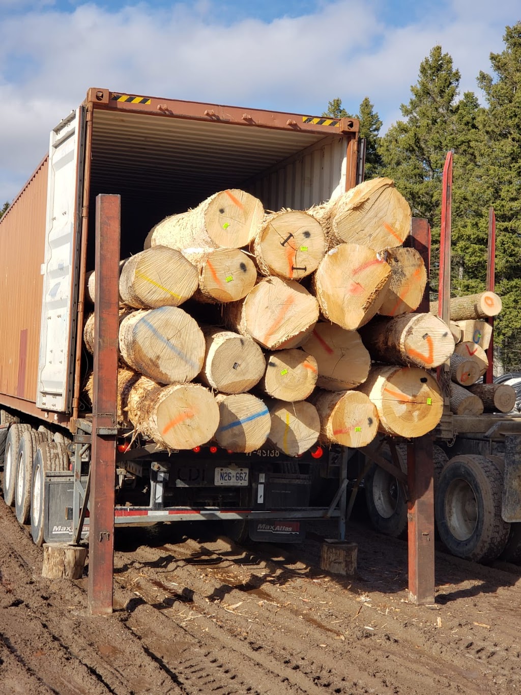 Vk Global Trading Inc. | 33898 Pine St #102, Abbotsford, BC V2S 2P3, Canada | Phone: (604) 746-7901