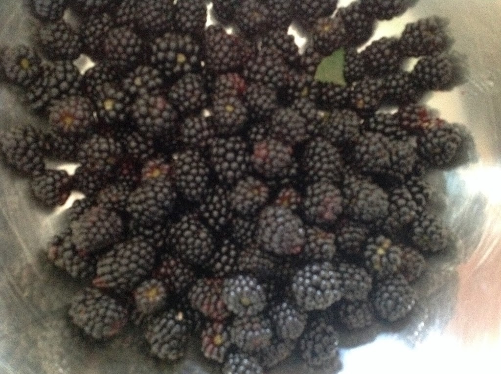 Moccasin-Jo Coffee & Tea | 113 Ahsennenson, Kanehsatake, QC J0N 1E0, Canada | Phone: (450) 479-8415