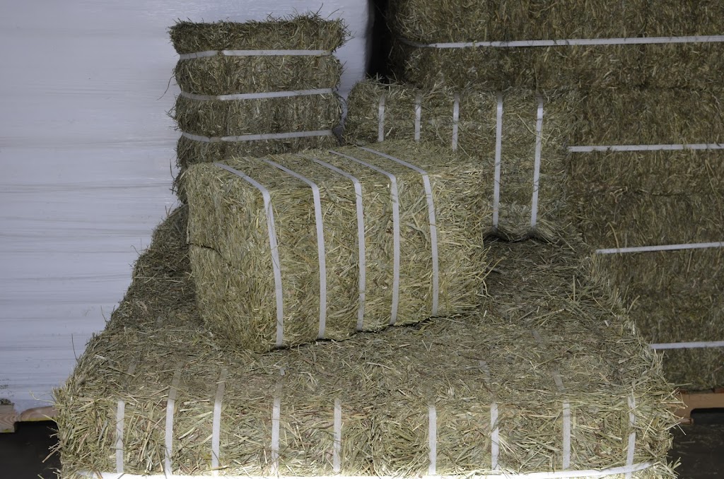 Transfeeder | Range Rd 140, Rolling Hills, AB T0J 2S0, Canada | Phone: (403) 556-4100