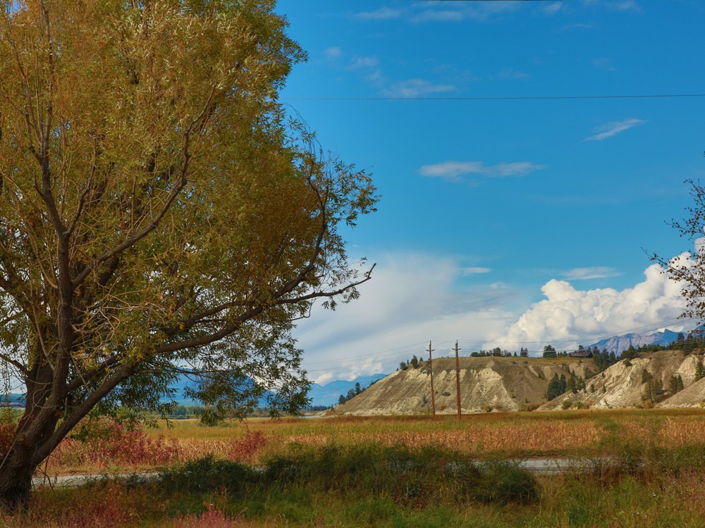 Ascend Invermere | 170 Laurier St, Invermere, BC V0A 1K7, Canada | Phone: (250) 342-8304
