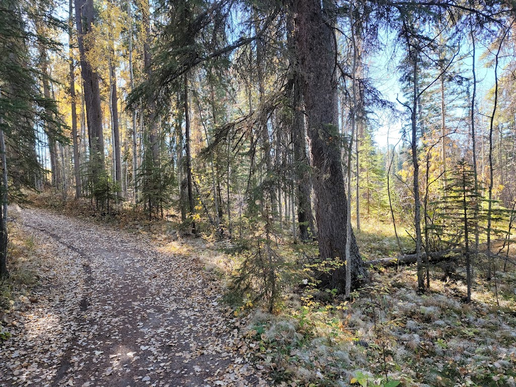 Crimson Lake Provincial Park | Rocky Mountain House, AB T0M 0C0, Canada | Phone: (403) 845-2330