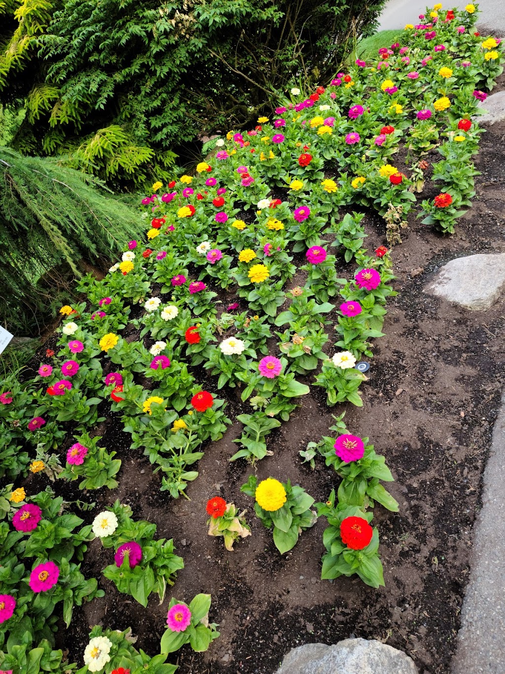 Bear Creek Park | 13750 88 Ave, Surrey, BC V3W 3L1, Canada | Phone: (604) 501-5050