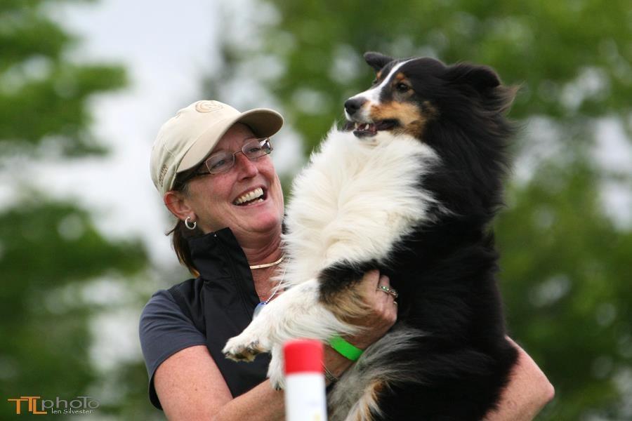 Rickfield Farm Agility Club | 8658 Bank St, Vernon, ON K0A 3J0, Canada | Phone: (613) 323-0872