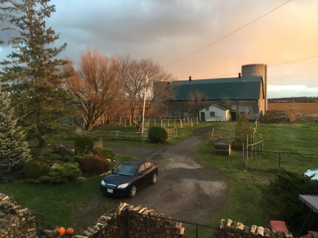 Little Creek Farm & Sanctuary | 7372 Snake Island Rd, Greely, ON K4P 1N2, Canada | Phone: (613) 913-3158