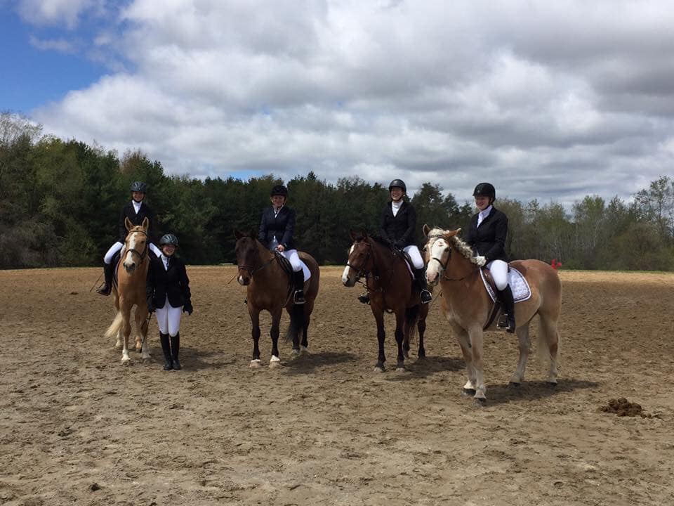 Fire Fly Stables | 1374 Concession 5 W, Branchton, ON N0B 1L0, Canada | Phone: (226) 972-3632