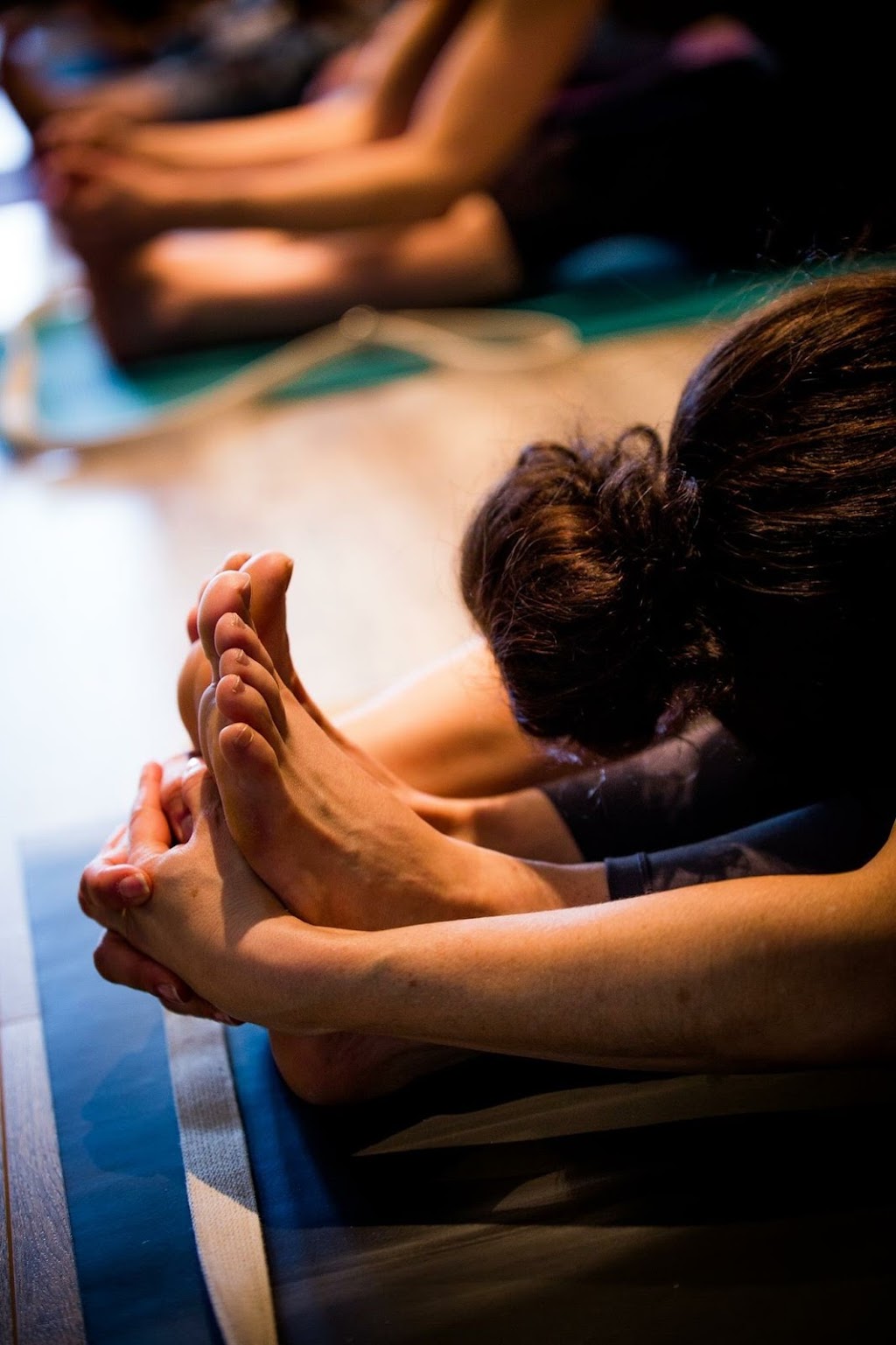 Vidya Yoga | 233 Bd Sainte-Rose #350, Laval, QC H7L 1L7, Canada | Phone: (514) 604-2862