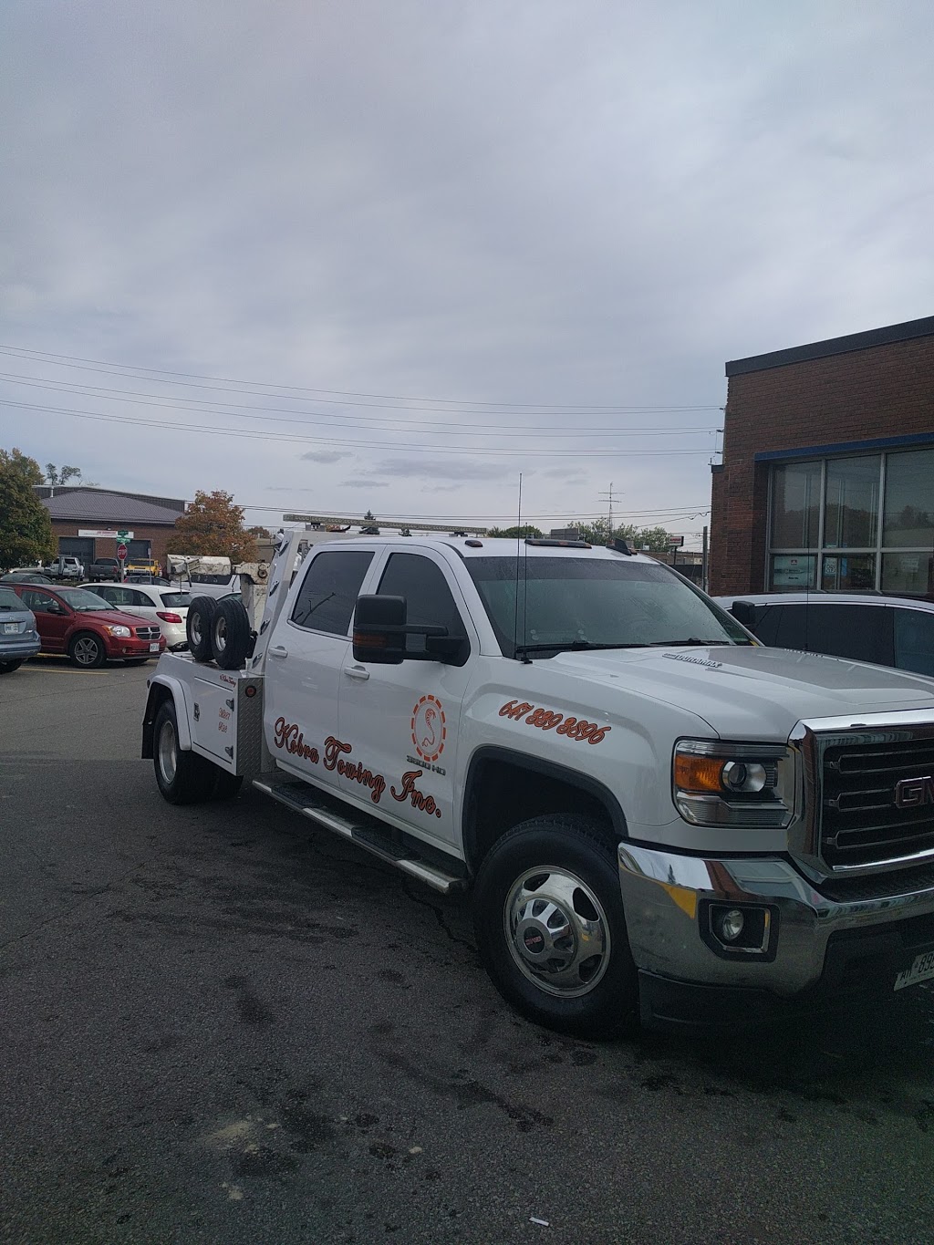 Royal Auto Beauty | 8 Laidlaw Blvd, Markham, ON L3P 1W6, Canada | Phone: (905) 294-5494