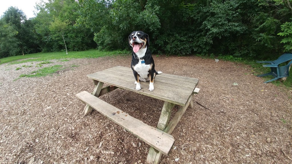 Greenway Off Leash Dog Park | Southcrest, London, ON N6J, Canada | Phone: (519) 661-4980