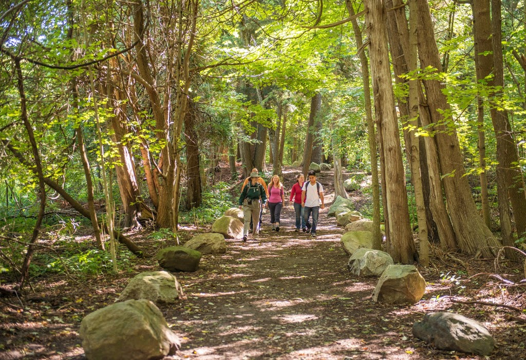 Rouge National Urban Park, Woodland Area | 19 Reesor Rd, Scarborough, ON M1X 0A5, Canada | Phone: (416) 264-2020