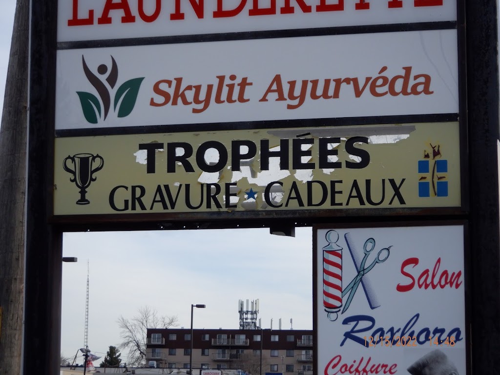 Trophée Leighco Deluxe Trophies Ltée | 10388 Boul Gouin O, Roxboro, QC H8Y 1S3, Canada | Phone: (514) 683-6033