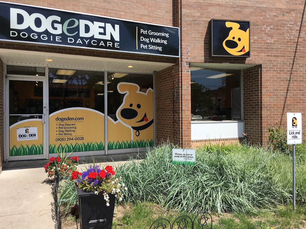 Dogeden | 60 Bullock Dr #1, Markham, ON L3P 3P2, Canada | Phone: (905) 294-0028