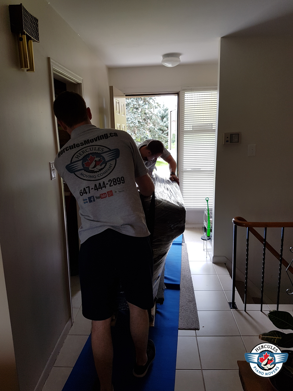 Hercules Piano Movers | Piano Moving Company | 111 Davisville Ave #617, Toronto, ON M4S 1G5, Canada | Phone: (647) 964-0444