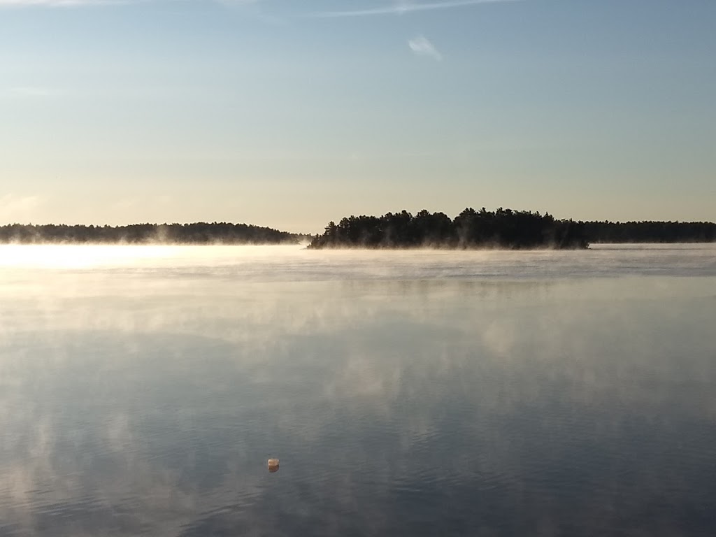 Nottawasaga River Adventures | 11 Pine River Rd, Angus, ON L0M 1B2, Canada | Phone: (705) 500-6100