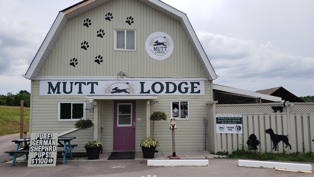 Mutt Lodge | 3325 ON-7, Pickering, ON L1X 2W3, Canada | Phone: (905) 655-8401