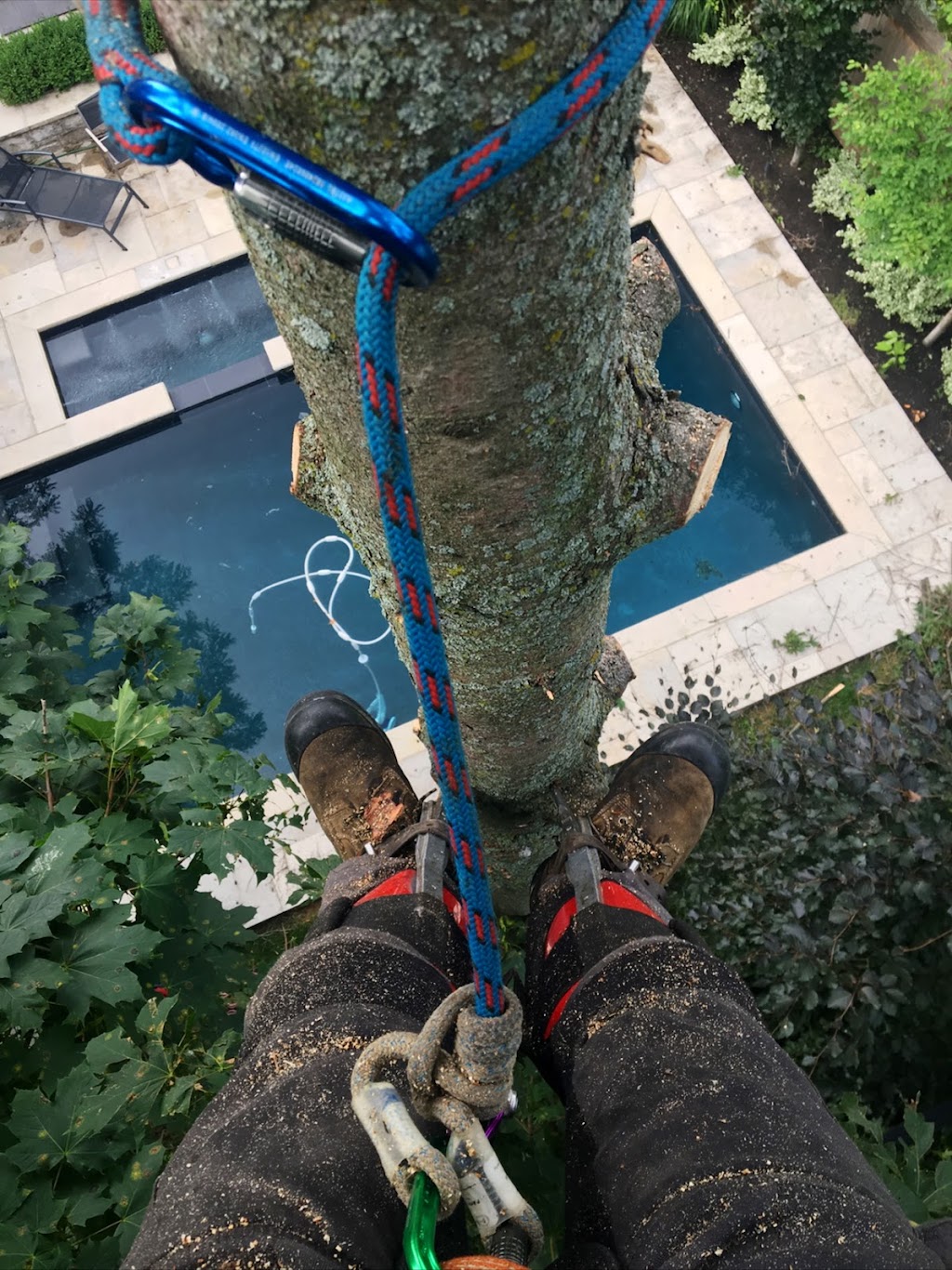 Columbus Tree Services | 20 Columbus Rd W, Oshawa, ON L1G 0G6, Canada | Phone: (416) 670-9851