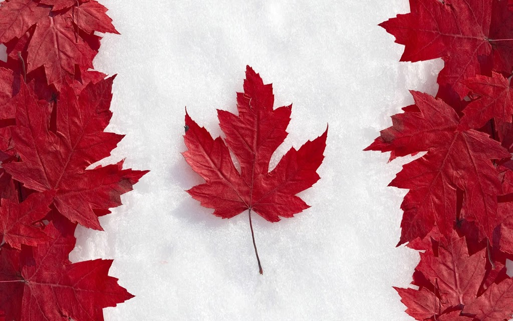 Canadian Improv Showcase | 2 Amberglen Ct, Holland Landing, ON L9N 1J6, Canada | Phone: (905) 967-0141