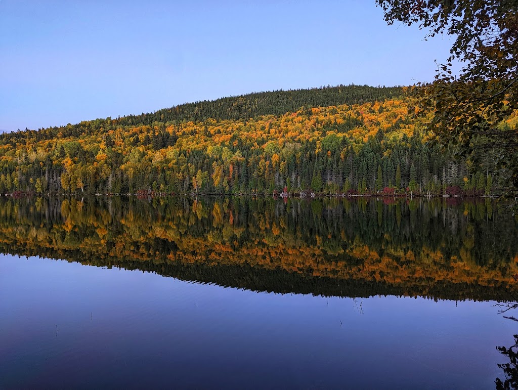 Zec Du Lac Brebeuf - 247 Chem. du Lac Brébeuf, Saint-Félix-d'Otis, QC ...