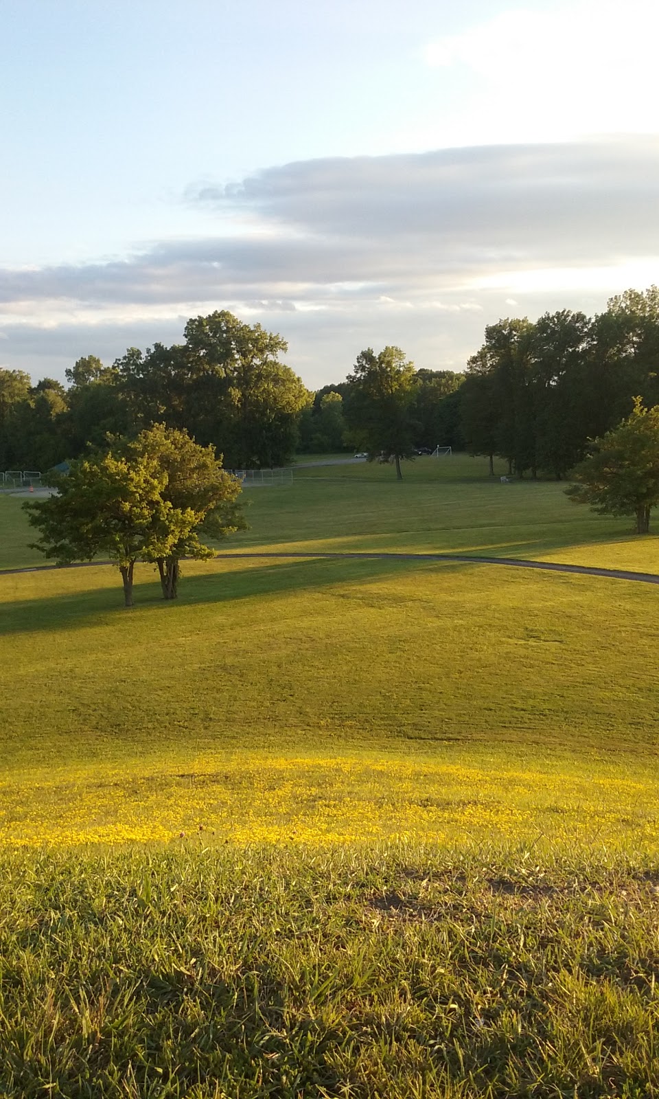 Township Park | 5111 River Rd, East China, MI 48054, USA | Phone: (810) 765-8879