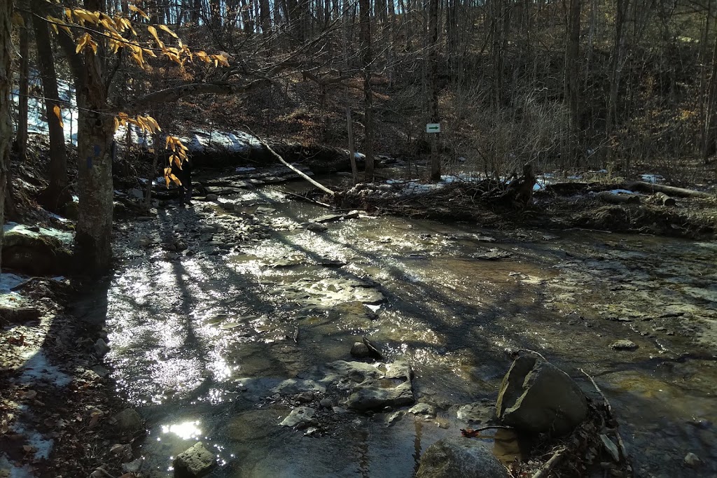Mystery Falls Trail (aka Ausable River Valley Trail) | 101 Elm Tree Dr, Parkhill, ON N0M 2K0, Canada