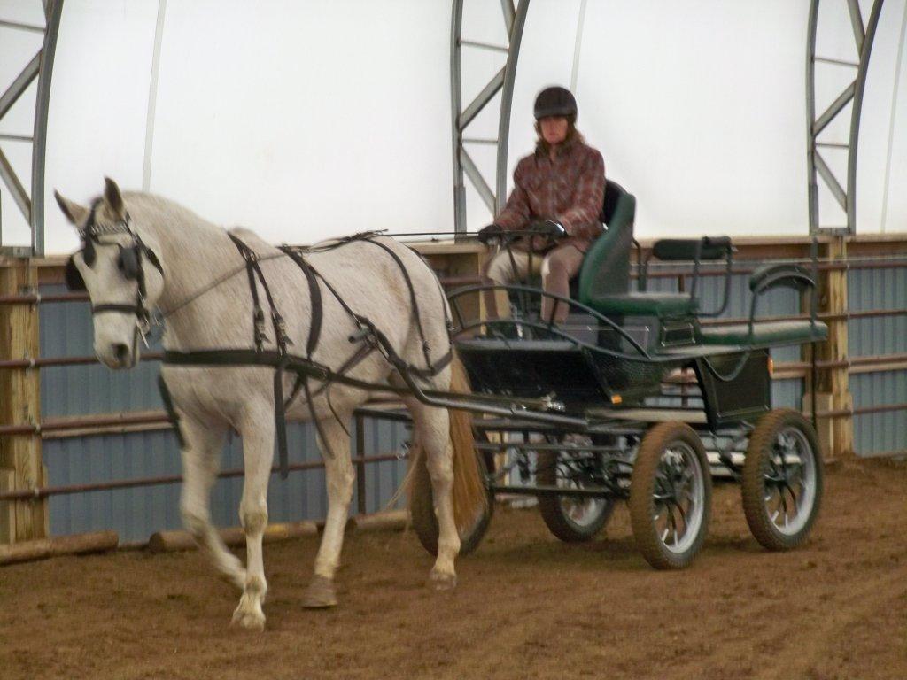 Symphony Stables | 778 County Rd 37, Wheatley, ON N0P 2P0, Canada | Phone: (519) 825-9708