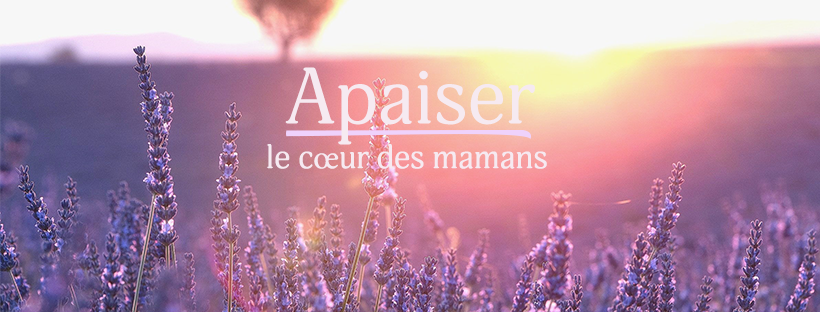 MamanSecours | 17746 Rue de Chenonceau, Mirabel, QC J7J 0S3, Canada | Phone: (514) 629-1079
