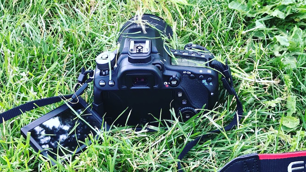 Vantographer | 10061 140 St, Surrey, BC V3T 4M8, Canada | Phone: (778) 751-8611